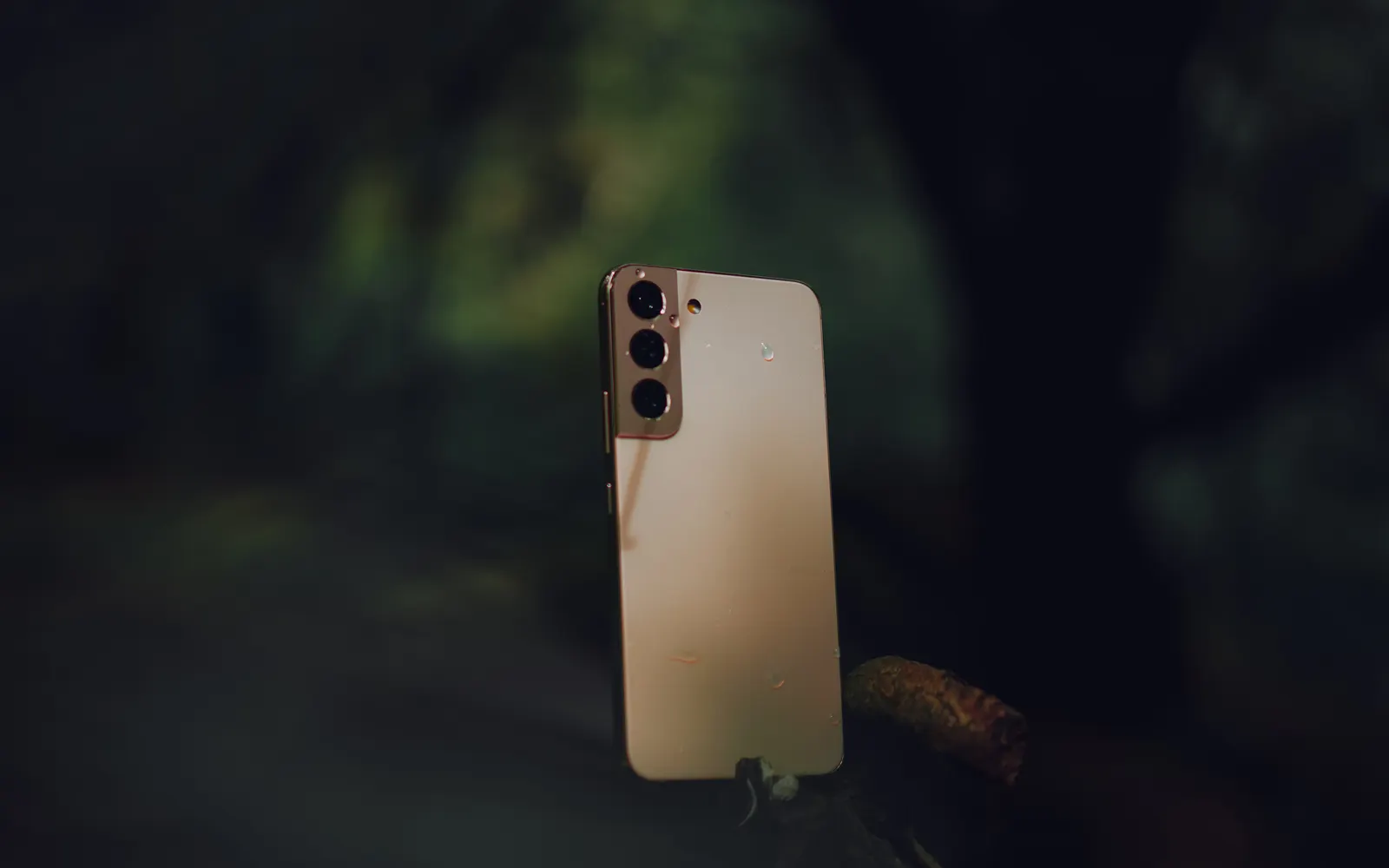 A cream Samsung Galaxy S series phone standing upright on a log in a dark, damp woodland