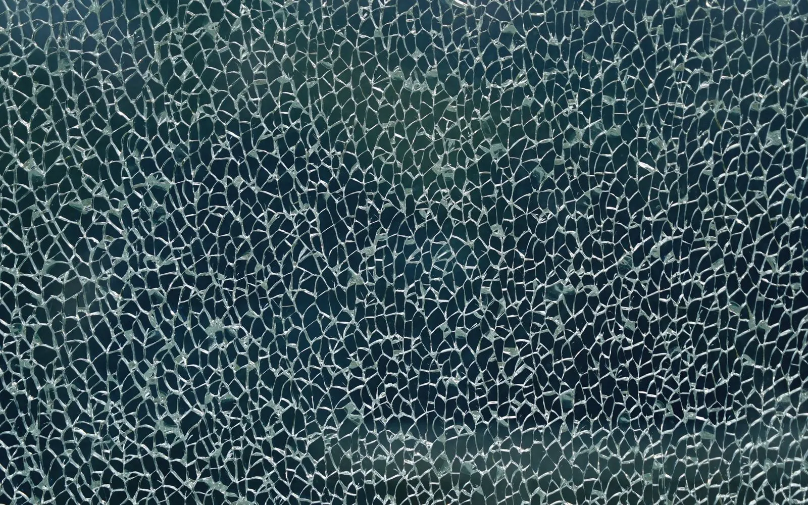 A close-up of cracked glass, fine fractures spreading across the whole surface