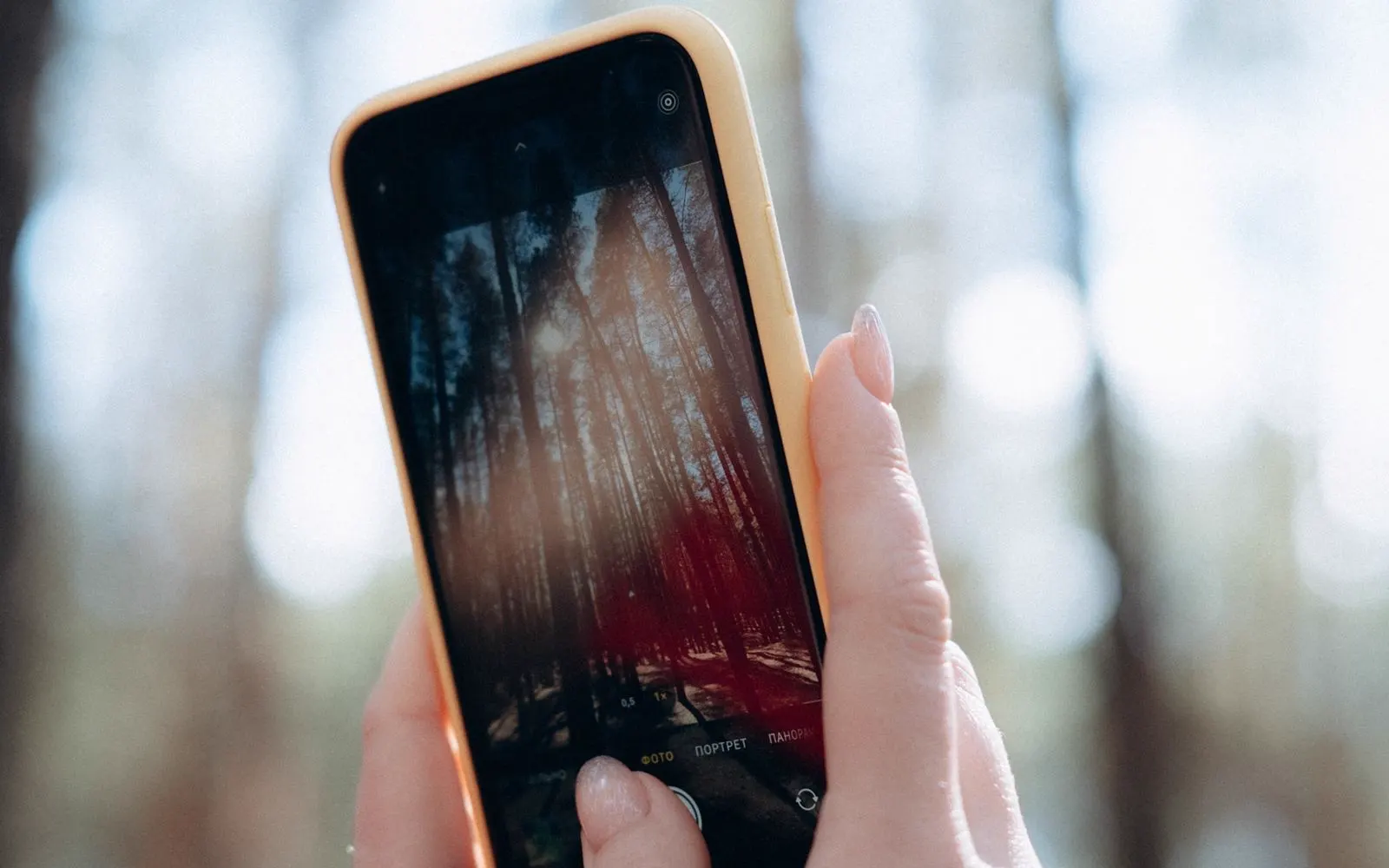 Hands holding a smartphone photographing a forest