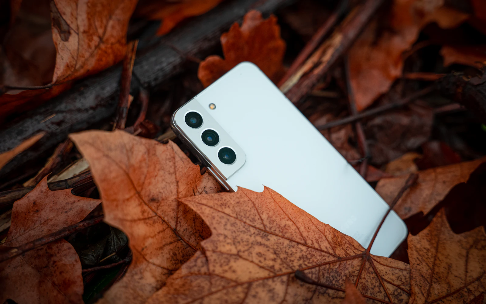A white Samsung Galaxy S series phone lying among dry autumn leaves, its rear cameras facing up
