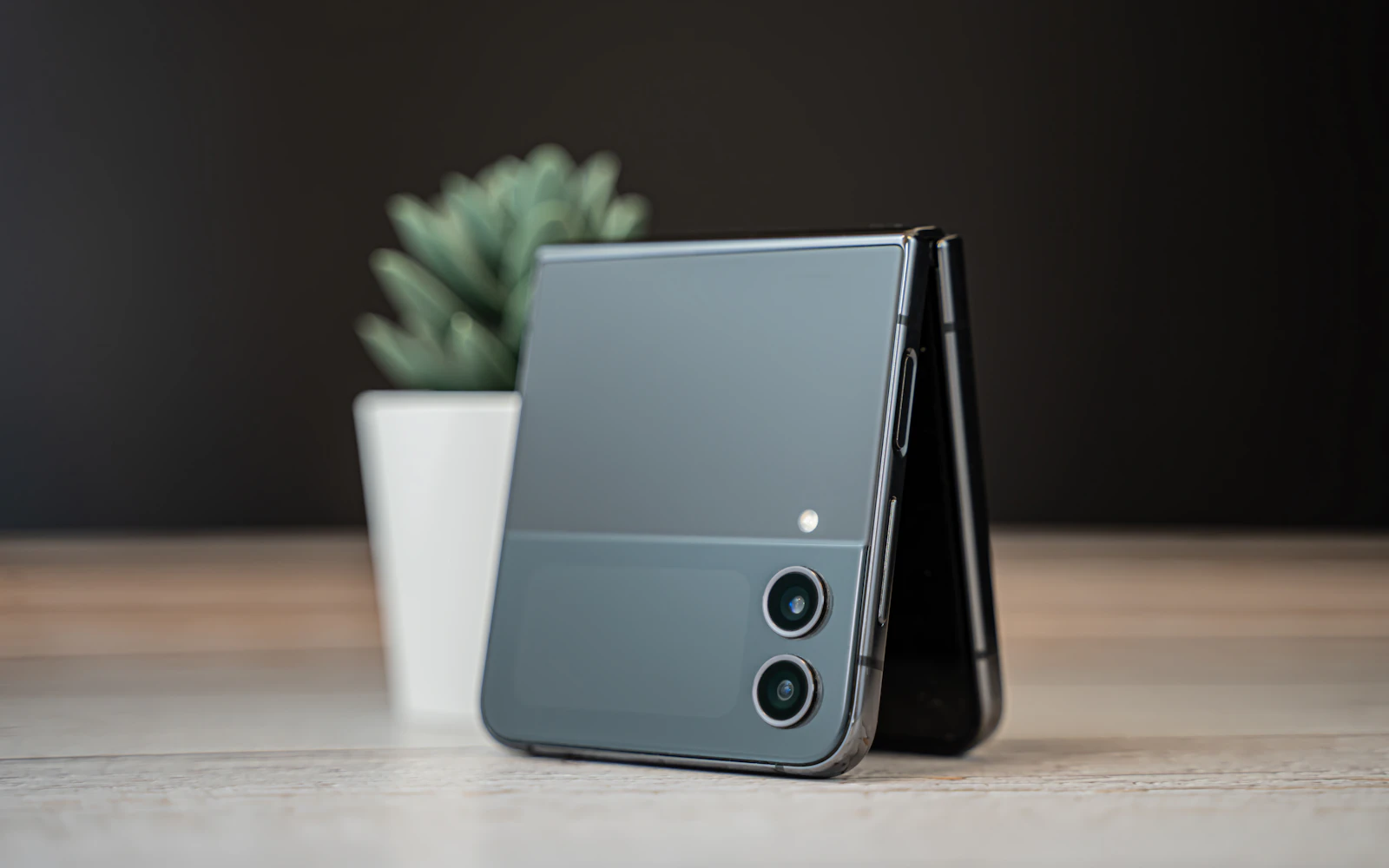 A grey Samsung Galaxy Z Flip half folded on a table beside a small potted plant