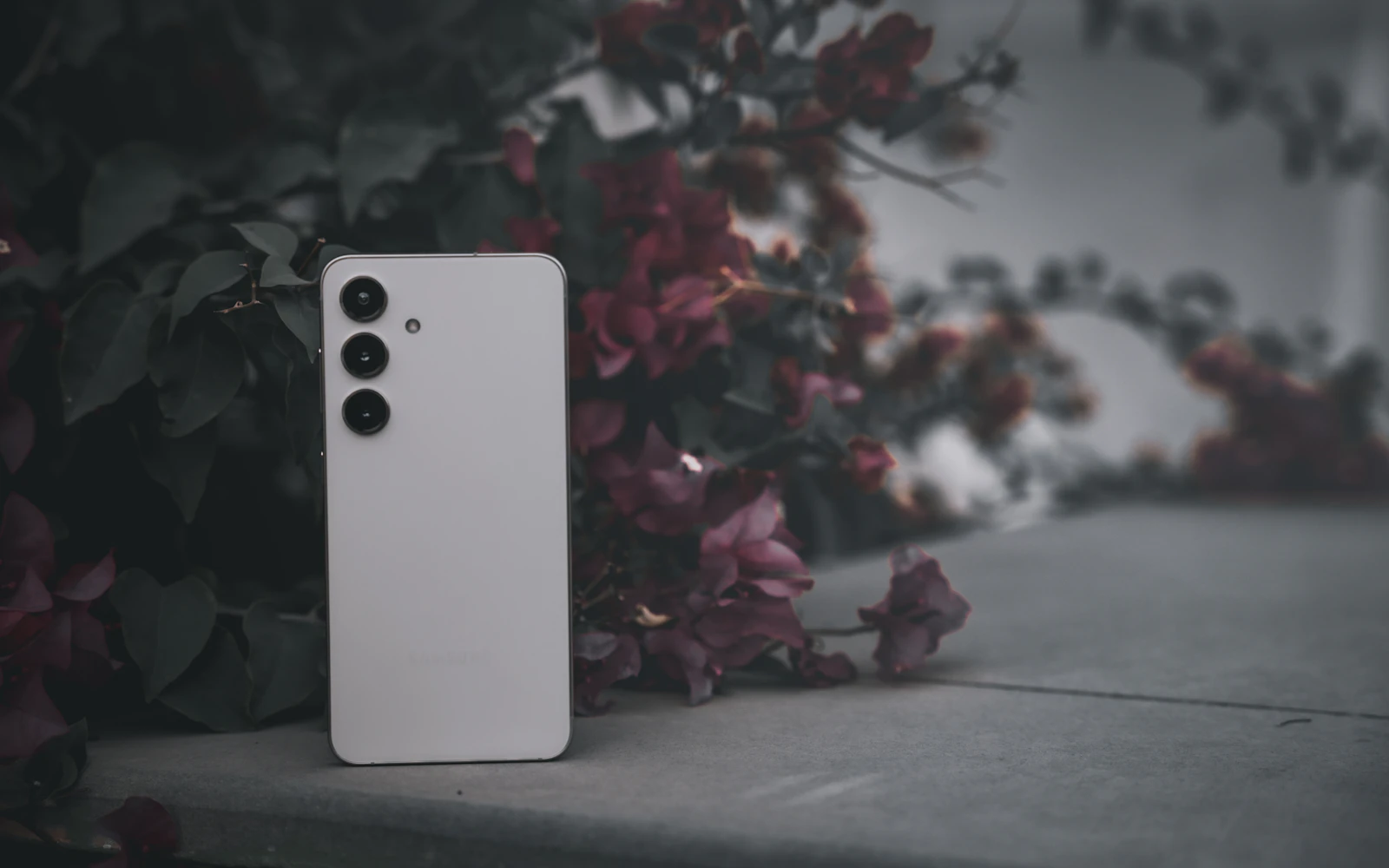 A white Samsung Galaxy S24 standing on a stone ledge outdoors in front of leafy plants