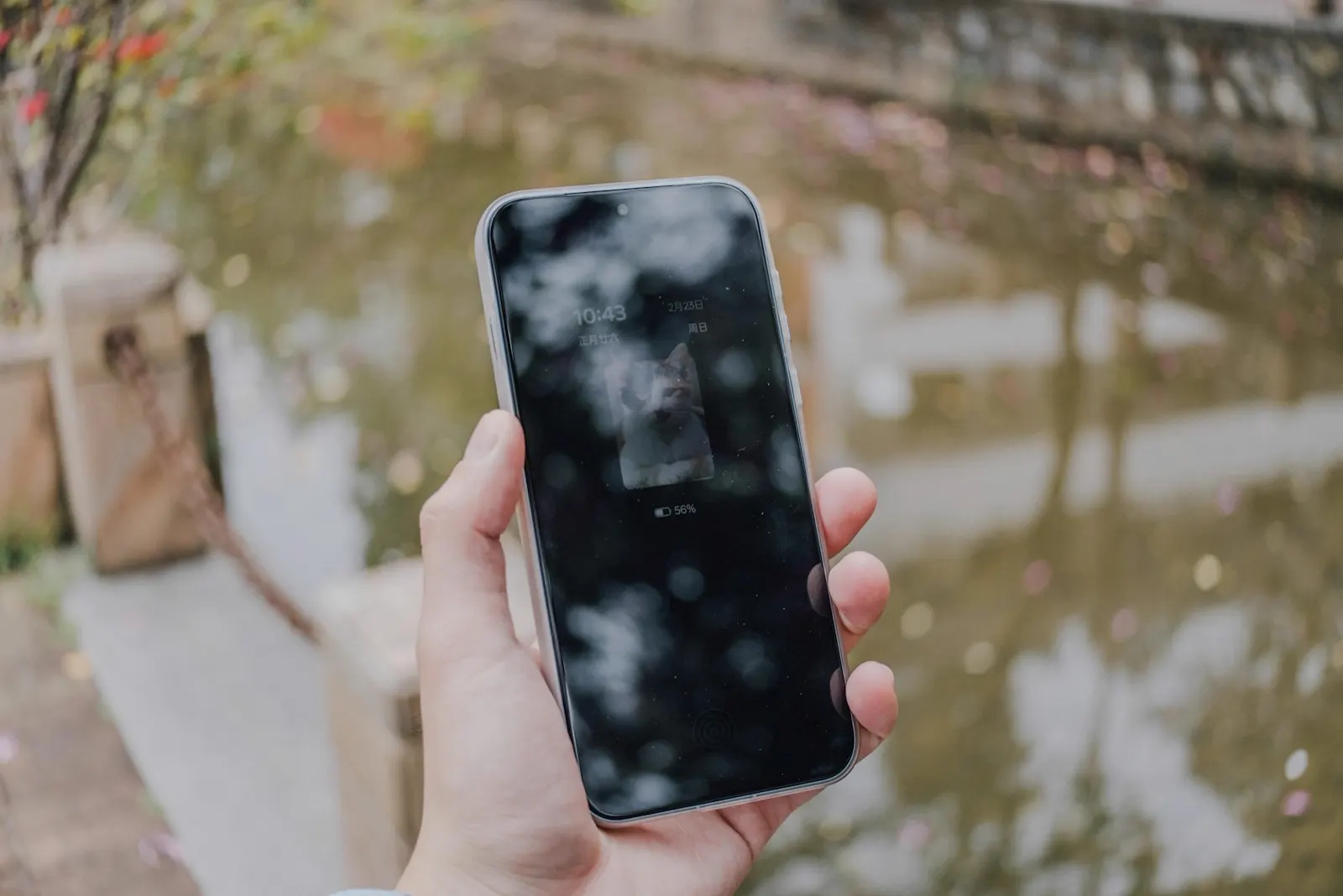 A hand holding a smartphone, its display glass catching a reflection