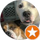 Ana Santos profile picture